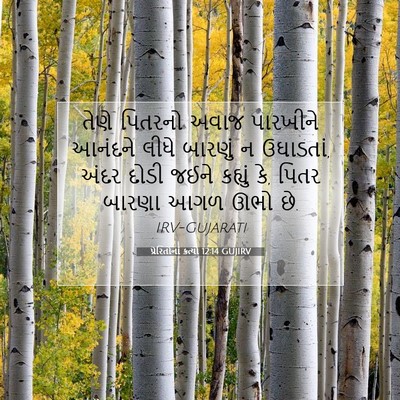 Picture 07 - પ્રેરિતોનાં ક્રત્યો 12:14 GUJIRV - તેણે પિતરનો અવાજ - Bible Verse Picture