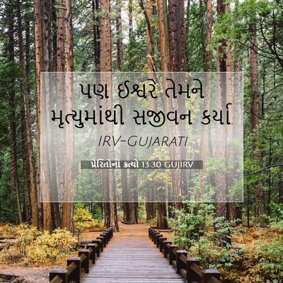 Picture 07 - પ્રેરિતોનાં ક્રત્યો 13:30 GUJIRV - પણ ઈશ્વરે તેમને - Bible Verse Picture