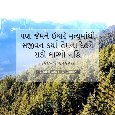 Picture 07 - પ્રેરિતોનાં ક્રત્યો 13:37 GUJIRV - પણ જેમને ઈશ્વરે - Bible Verse Picture
