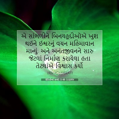Picture 07 - પ્રેરિતોનાં ક્રત્યો 13:48 GUJIRV - એ સાંભળીને - Bible Verse Picture
