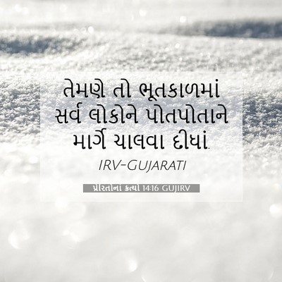 Picture 07 - પ્રેરિતોનાં ક્રત્યો 14:16 GUJIRV - તેમણે તો - Bible Verse Picture