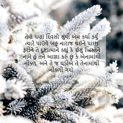 Picture 07 - પ્રેરિતોનાં ક્રત્યો 16:18 GUJIRV - તેણે ઘણાં દિવસો - Bible Verse Picture