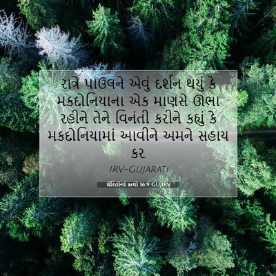 Picture 07 - પ્રેરિતોનાં ક્રત્યો 16:9 GUJIRV - રાત્રે પાઉલને - Bible Verse Picture