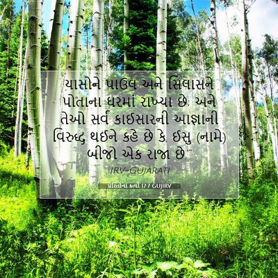Picture 07 - પ્રેરિતોનાં ક્રત્યો 17:7 GUJIRV - યાસોને પાઉલ અને - Bible Verse Picture