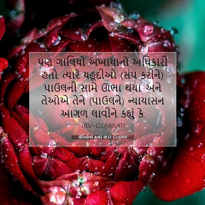 Picture 07 - પ્રેરિતોનાં ક્રત્યો 18:12 GUJIRV - પણ ગાલિયો અખાયાનો - Bible Verse Picture