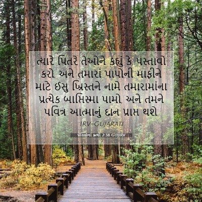 Picture 07 - પ્રેરિતોનાં ક્રત્યો 2:38 GUJIRV - ત્યારે પિતરે - Bible Verse Picture