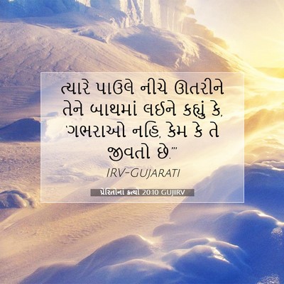 Picture 07 - પ્રેરિતોનાં ક્રત્યો 20:10 GUJIRV - ત્યારે પાઉલે નીચે - Bible Verse Picture