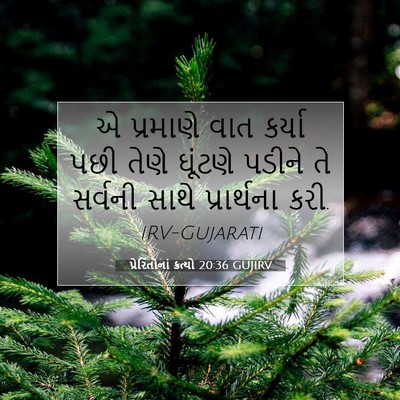 Picture 07 - પ્રેરિતોનાં ક્રત્યો 20:36 GUJIRV - એ પ્રમાણે વાત - Bible Verse Picture