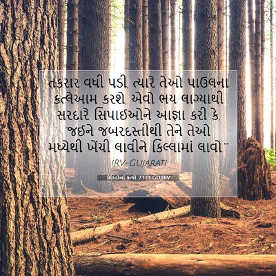 Picture 07 - પ્રેરિતોનાં ક્રત્યો 23:10 GUJIRV - તકરાર વધી પડી, - Bible Verse Picture