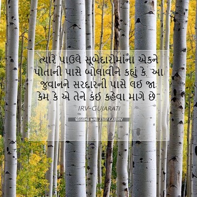 Picture 07 - પ્રેરિતોનાં ક્રત્યો 23:17 GUJIRV - ત્યારે પાઉલે - Bible Verse Picture