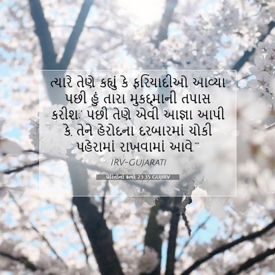 Picture 07 - પ્રેરિતોનાં ક્રત્યો 23:35 GUJIRV - ત્યારે તેણે - Bible Verse Picture
