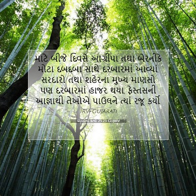 Picture 07 - પ્રેરિતોનાં ક્રત્યો 25:23 GUJIRV - માટે બીજે દિવસે - Bible Verse Picture