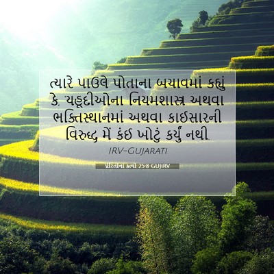 Picture 07 - પ્રેરિતોનાં ક્રત્યો 25:8 GUJIRV - ત્યારે પાઉલે - Bible Verse Picture