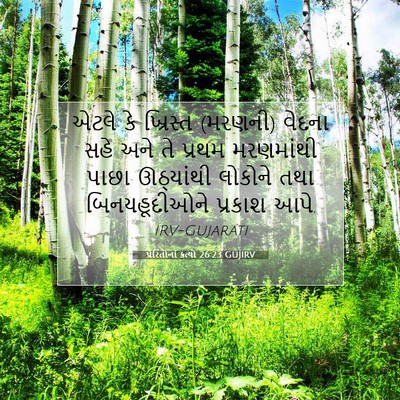 Picture 07 - પ્રેરિતોનાં ક્રત્યો 26:23 GUJIRV - એટલે કે ખ્રિસ્ત - Bible Verse Picture