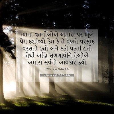 Picture 07 - પ્રેરિતોનાં ક્રત્યો 28:2 GUJIRV - ત્યાંના વતનીઓએ - Bible Verse Picture