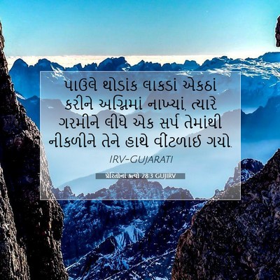 Picture 07 - પ્રેરિતોનાં ક્રત્યો 28:3 GUJIRV - પાઉલે થોડાંક - Bible Verse Picture