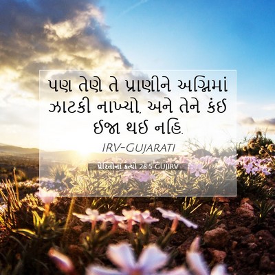 Picture 07 - પ્રેરિતોનાં ક્રત્યો 28:5 GUJIRV - પણ તેણે તે - Bible Verse Picture