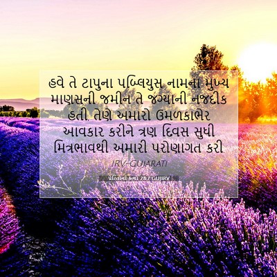 Picture 07 - પ્રેરિતોનાં ક્રત્યો 28:7 GUJIRV - હવે તે ટાપુના - Bible Verse Picture