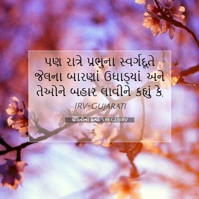 Picture 07 - પ્રેરિતોનાં ક્રત્યો 5:19 GUJIRV - પણ રાત્રે પ્રભુના - Bible Verse Picture