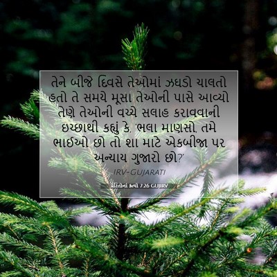 Picture 07 - પ્રેરિતોનાં ક્રત્યો 7:26 GUJIRV - તેને બીજે દિવસે - Bible Verse Picture