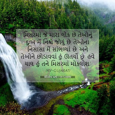 Picture 07 - પ્રેરિતોનાં ક્રત્યો 7:34 GUJIRV - મિસરમાં જે મારા - Bible Verse Picture