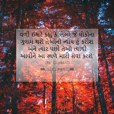 Picture 07 - પ્રેરિતોનાં ક્રત્યો 7:7 GUJIRV - વળી ઈશ્વરે કહ્યું - Bible Verse Picture