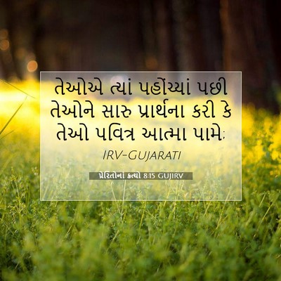 Picture 07 - પ્રેરિતોનાં ક્રત્યો 8:15 GUJIRV - તેઓએ ત્યાં - Bible Verse Picture