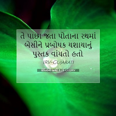 Picture 07 - પ્રેરિતોનાં ક્રત્યો 8:28 GUJIRV - તે પાછા જતા પોતાના - Bible Verse Picture