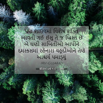 Picture 07 - પ્રેરિતોનાં ક્રત્યો 9:22 GUJIRV - પણ શાઉલમાં વિશેષ - Bible Verse Picture