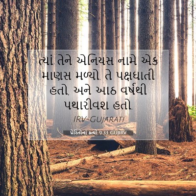 Picture 07 - પ્રેરિતોનાં ક્રત્યો 9:33 GUJIRV - ત્યાં તેને એનિયસ - Bible Verse Picture