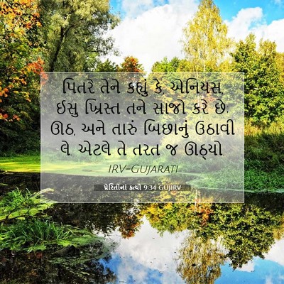 Picture 07 - પ્રેરિતોનાં ક્રત્યો 9:34 GUJIRV - પિતરે તેને કહ્યું - Bible Verse Picture