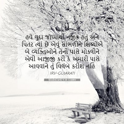 Picture 07 - પ્રેરિતોનાં ક્રત્યો 9:38 GUJIRV - હવે લુદા જોપ્પાથી - Bible Verse Picture