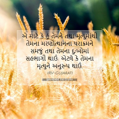 Picture 07 - ફિલિપ્પીઓને 3:10 GUJIRV - એ માટે કે હું તેમને - Bible Verse Picture
