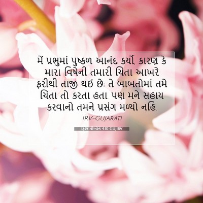 Picture 07 - ફિલિપ્પીઓને 4:10 GUJIRV - મેં પ્રભુમાં - Bible Verse Picture