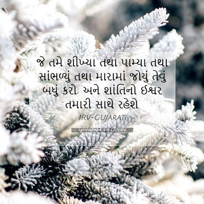 Picture 07 - ફિલિપ્પીઓને 4:9 GUJIRV - જે તમે શીખ્યા તથા - Bible Verse Picture