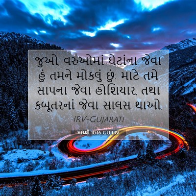 Picture 07 - માથ્થી 10:16 GUJIRV - જુઓ, વરુઓમાં - Bible Verse Picture