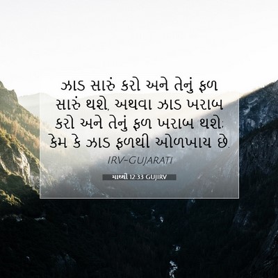 Picture 07 - માથ્થી 12:33 GUJIRV - ઝાડ સારું કરો અને - Bible Verse Picture