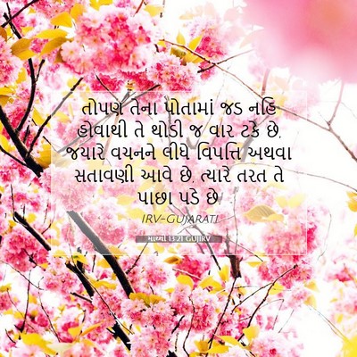 Picture 07 - માથ્થી 13:21 GUJIRV - તોપણ તેના પોતામાં - Bible Verse Picture