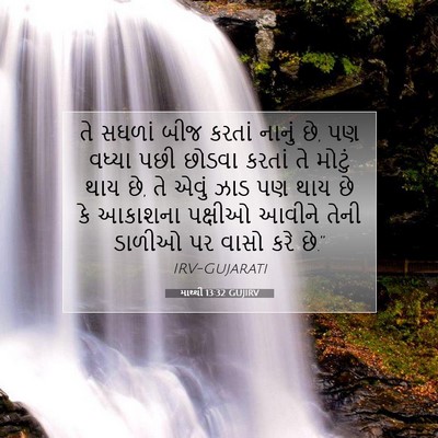 Picture 07 - માથ્થી 13:32 GUJIRV - તે સઘળાં બીજ કરતાં - Bible Verse Picture