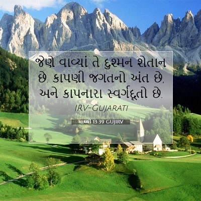 Picture 07 - માથ્થી 13:39 GUJIRV - જેણે વાવ્યાં તે - Bible Verse Picture