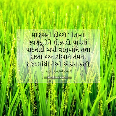 Picture 07 - માથ્થી 13:41 GUJIRV - માણસનો દીકરો - Bible Verse Picture