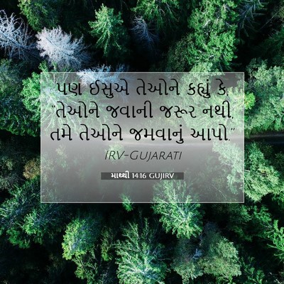 Picture 07 - માથ્થી 14:16 GUJIRV - પણ ઈસુએ તેઓને - Bible Verse Picture