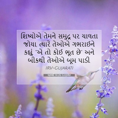 Picture 07 - માથ્થી 14:26 GUJIRV - શિષ્યોએ તેમને - Bible Verse Picture