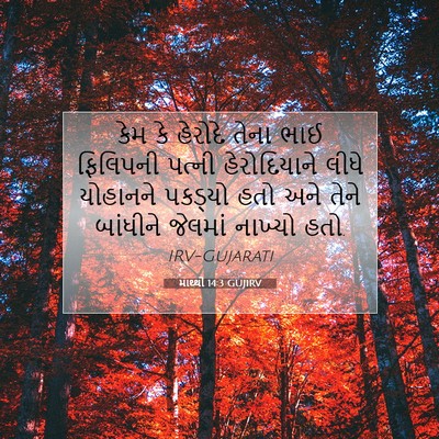Picture 07 - માથ્થી 14:3 GUJIRV - કેમ કે હેરોદે તેના - Bible Verse Picture