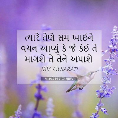 Picture 07 - માથ્થી 14:7 GUJIRV - ત્યારે તેણે સમ - Bible Verse Picture