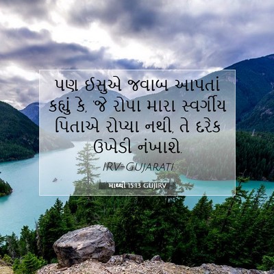 Picture 07 - માથ્થી 15:13 GUJIRV - પણ ઈસુએ જવાબ આપતાં - Bible Verse Picture