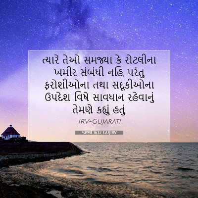 Picture 07 - માથ્થી 16:12 GUJIRV - ત્યારે તેઓ સમજ્યા - Bible Verse Picture