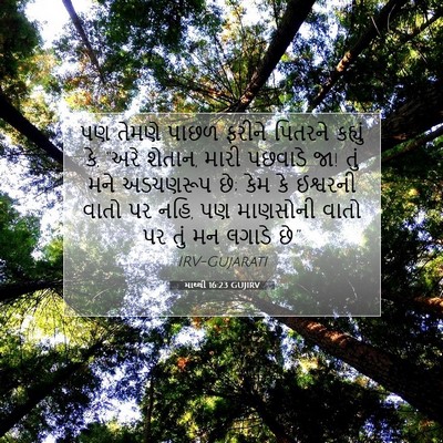 Picture 07 - માથ્થી 16:23 GUJIRV - પણ તેમણે પાછળ - Bible Verse Picture