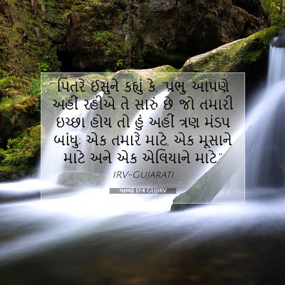 Picture 07 - માથ્થી 17:4 GUJIRV - પિતરે ઈસુને - Bible Verse Picture