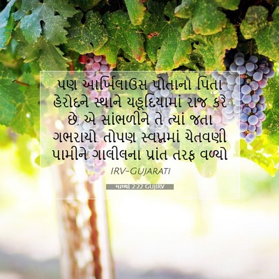 Picture 07 - માથ્થી 2:22 GUJIRV - પણ આર્ખિલાઉસ - Bible Verse Picture